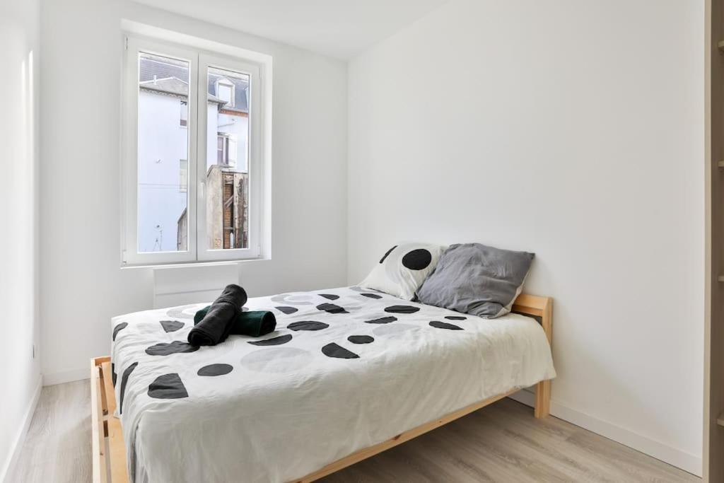Suite Lumineux Et Moderne, Parking Gratuit, Mulhouse Centre 외부 사진